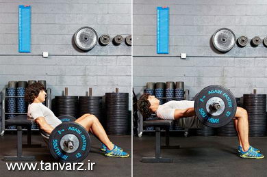 پل با هالتر